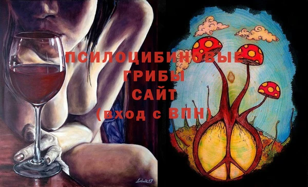стафф Аркадак