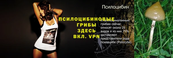mdpv Армянск
