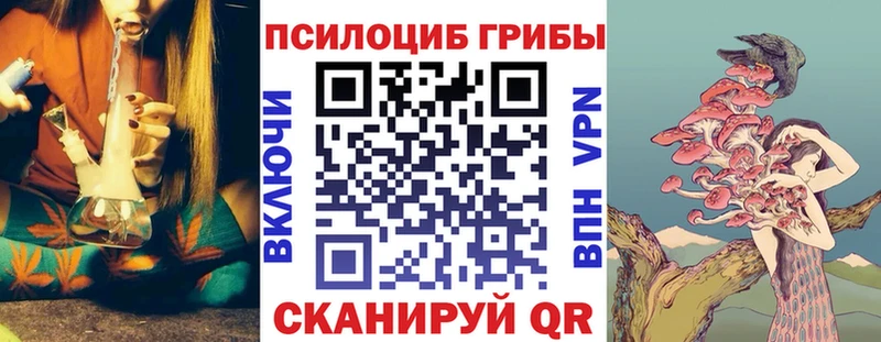 Галлюциногенные грибы MAGIC MUSHROOMS  ОМГ ОМГ зеркало  Шадринск 