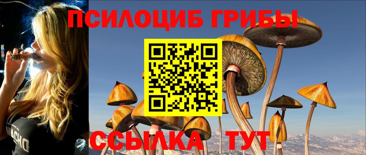 Галлюциногенные грибы ЛСД Шадринск