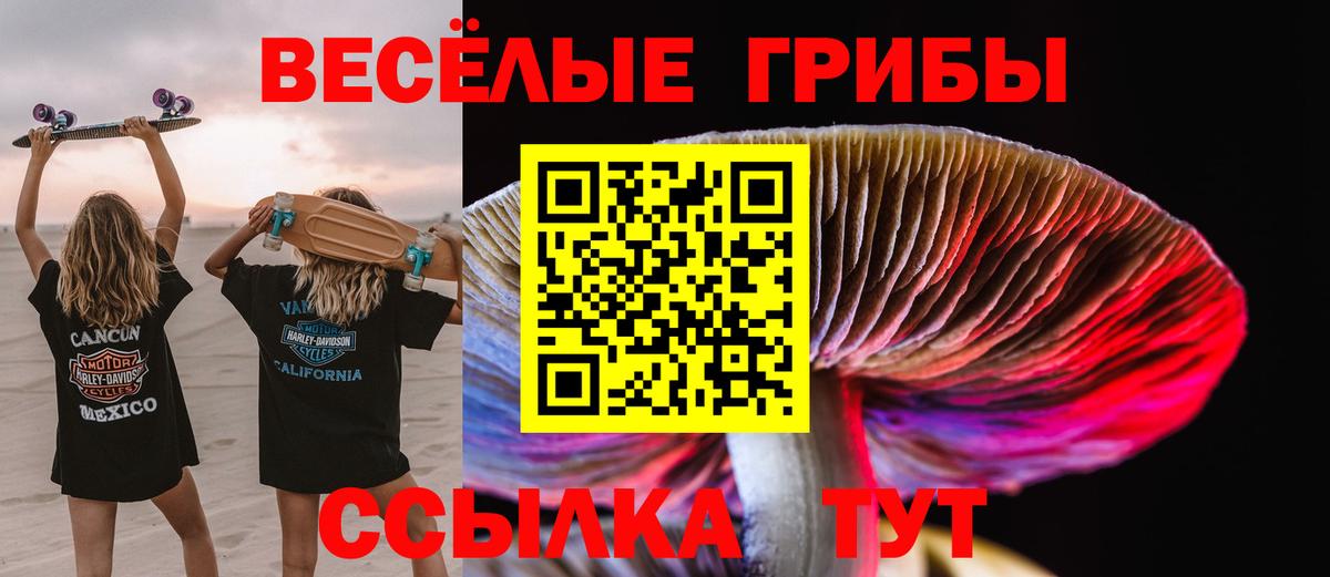 Псилоцибиновые грибы Magic Shrooms  наркота  Шадринск  Галлюциногенные грибы Psilocybine cubensis  Вход с VPN 